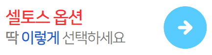 셀토스옵션고르는법
