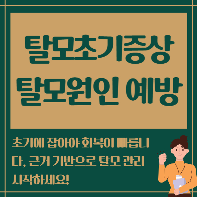 탈모초기증상 탈모원인 예방