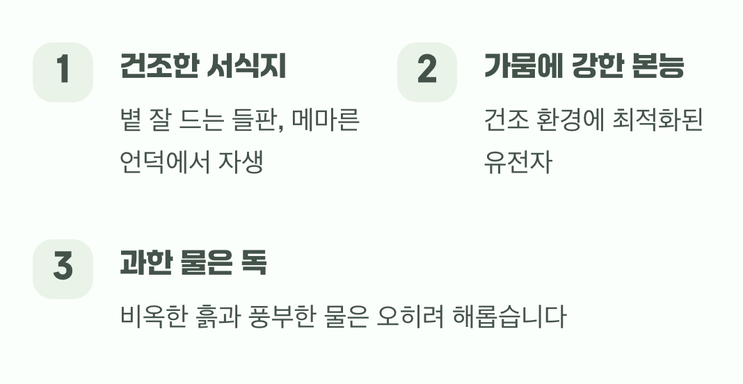 물을 좋아할 것이라는 착각