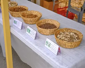 산청 한방약초축제_17