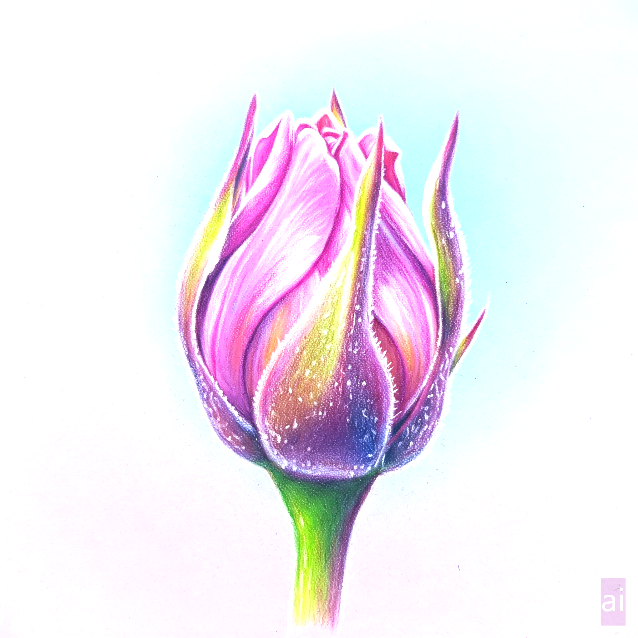 꽃 봉오리