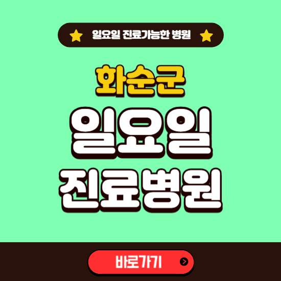 화순군 일요일 진료 가능한 병원 ❘ 주말 문여는 곳 총정리 (소아과, 내과, 안과, 치과, 피부과, 정형외과, 산부인과)