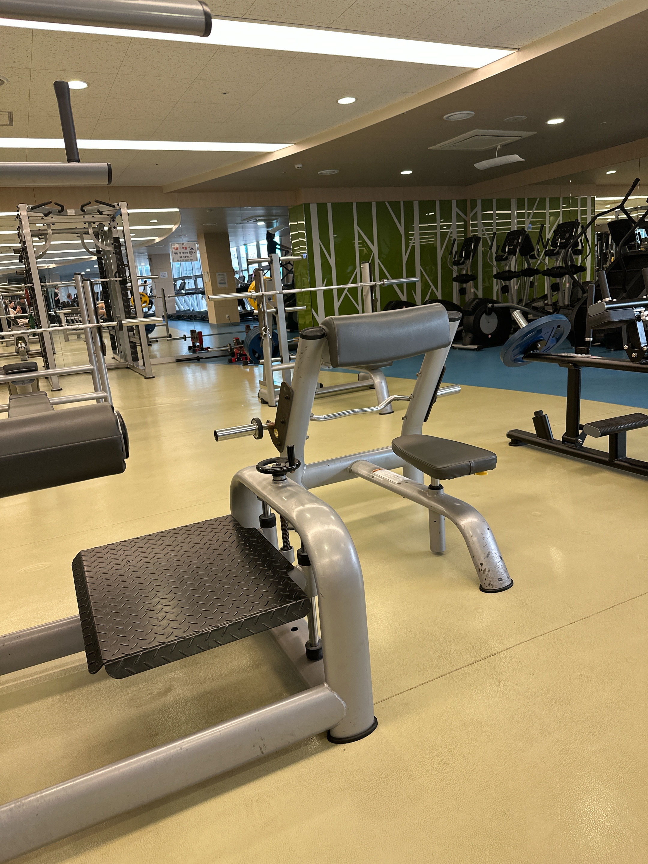 헬스장에서 근력 운동에 집중