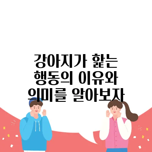 강아지가 핥는 행동의 이유와 의미를 알아보자