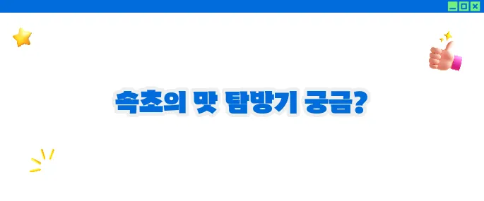 속초 맛집 베스트10 - 바다와 산이 어우러진 미식 여행