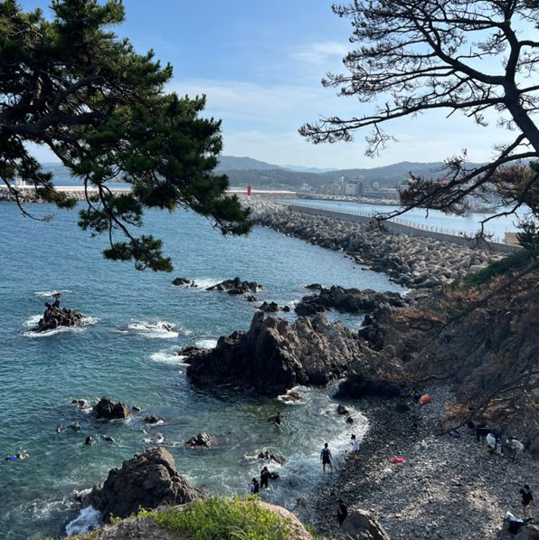 송대말등대 (감포읍)