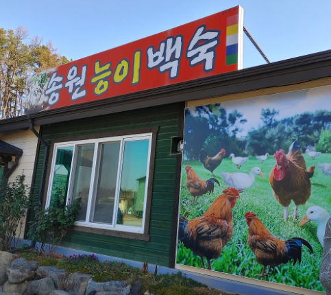 송원능이백숙