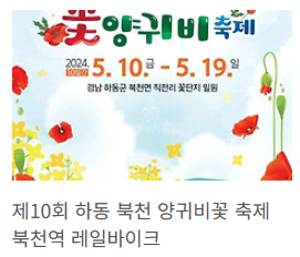하동 양귀비축제