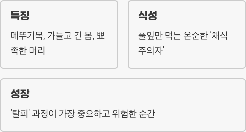 '풀밭의 점퍼', 방아깨비는 어떤 곤충?