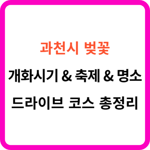 과천 벚꽃 개화시기 축제 명소 드라이브 코스 를 한눈에! 썸네일