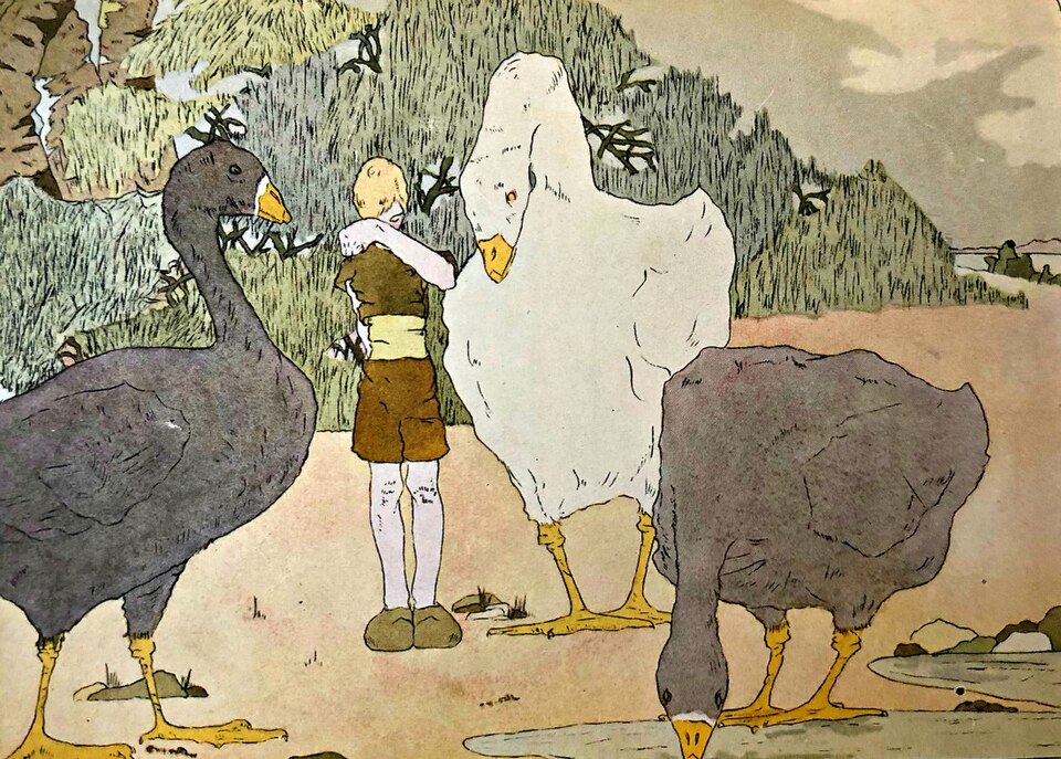 닐스의-모험-야생-기러기-무리