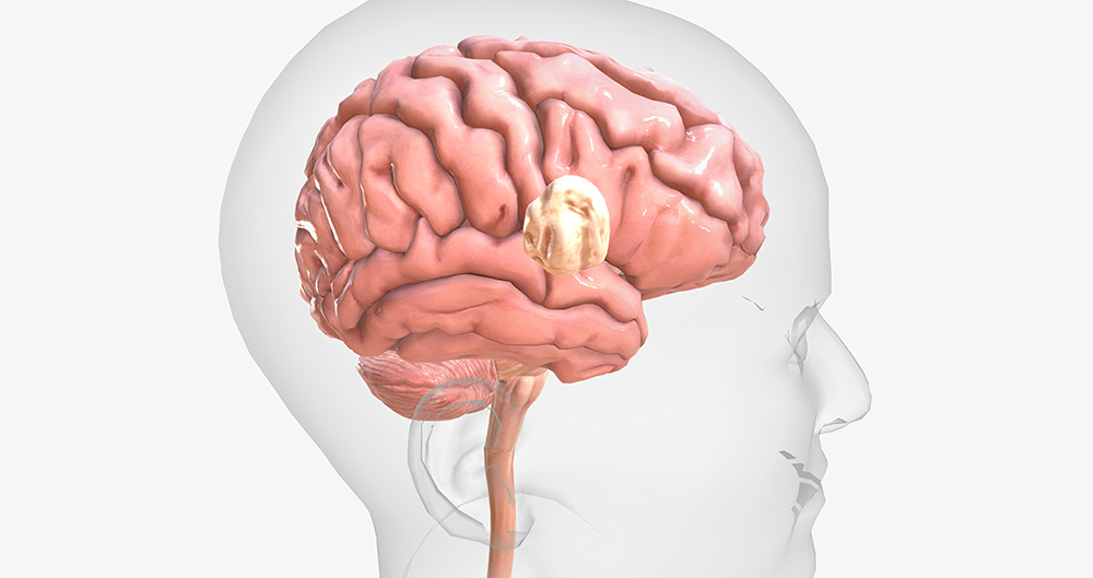 포스파티딜세린 효능