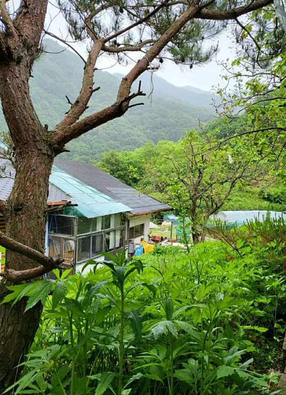 지리산뱀사골랜드