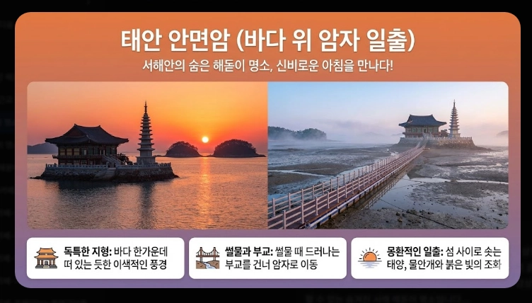 2026 해돋이 명소 지역별 완벽정리