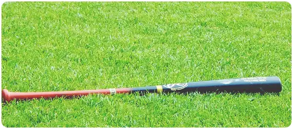 WBC์ WBSC(ํ๋ฆฌ๋ฏธ์ด 12) ์ผ๊ตฌ์ ์ฐจ์ด์ 