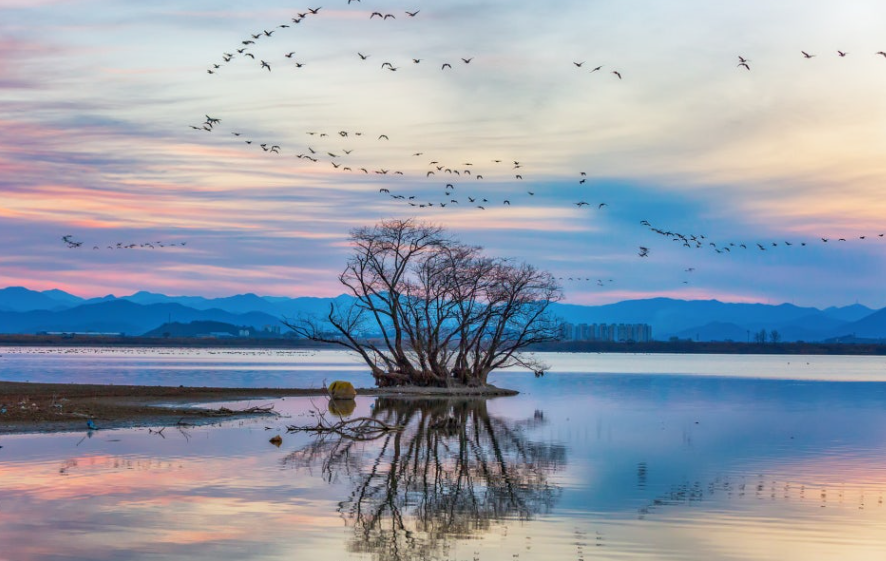 창원 주남저수지
