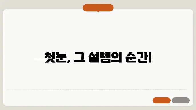 첫눈 시기
