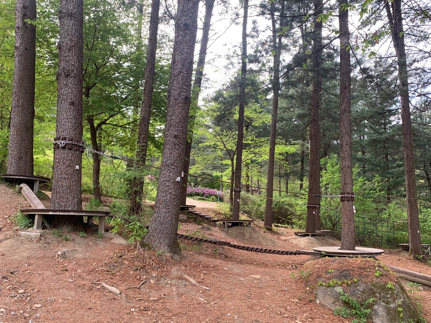 물맑음놀이터 유아숲체험원