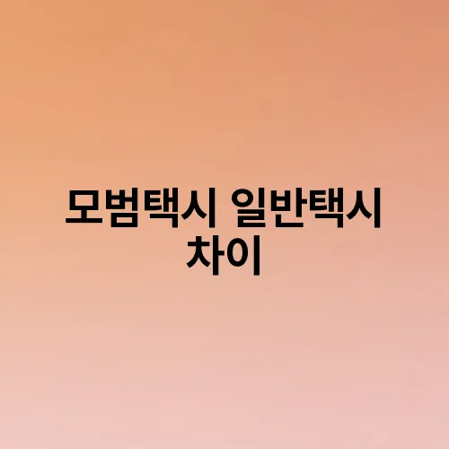 모범택시 일반택시 차이