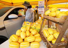 제 18회 여주금사참외축제 기본일정과 프로그램 정리 우연이 지원이 요요미 한강
