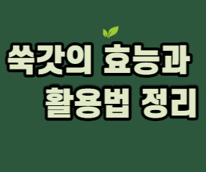 쑥갓의 효능과 활용법
