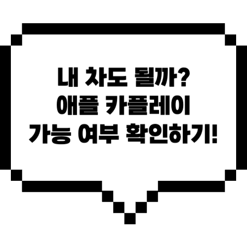애플 카플레이