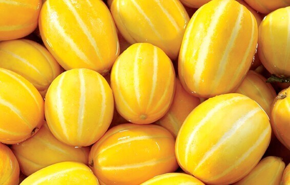 여름 제철 과일 참외 놀라운 10가지 효능과 부작용 및 참외 씨&amp;#44; 참외 껍질 효능