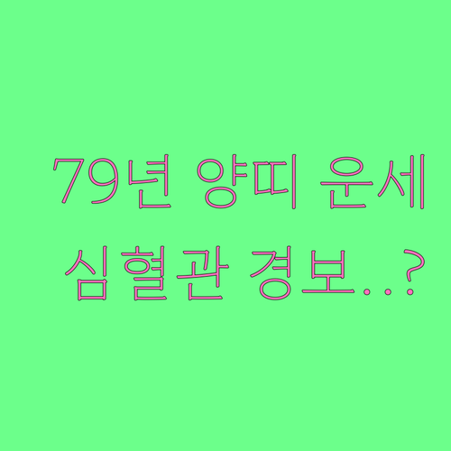 2026년 병오년 1979년생 양띠 ..