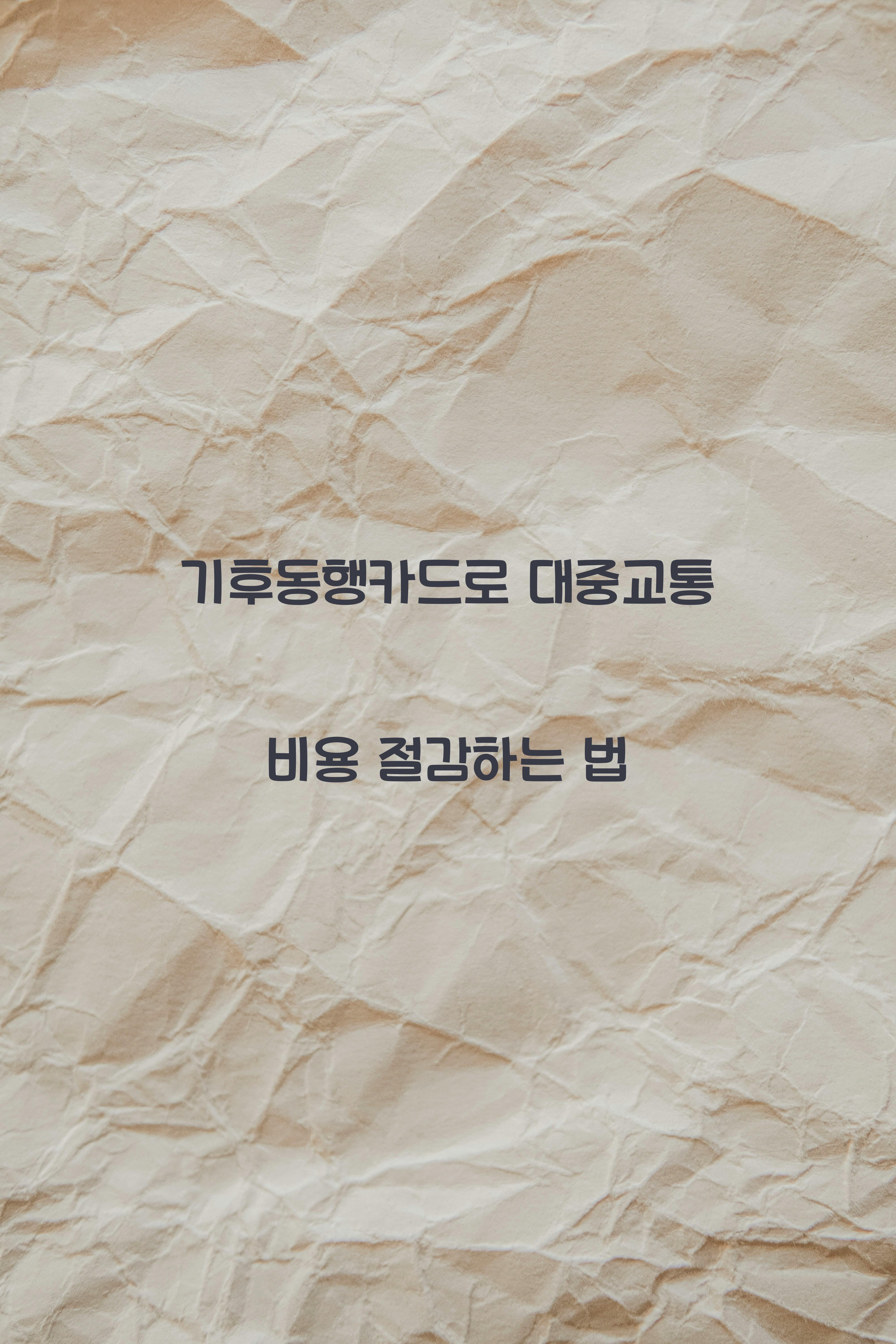 기후동행카드