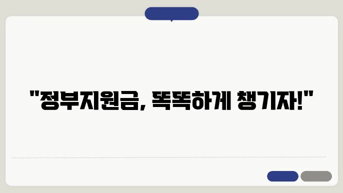 부정수급을 피하는 스마트한 방법! 정부지원금 이해하기