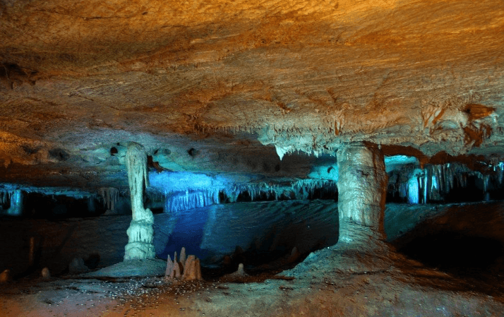 천곡-황금박쥐동굴