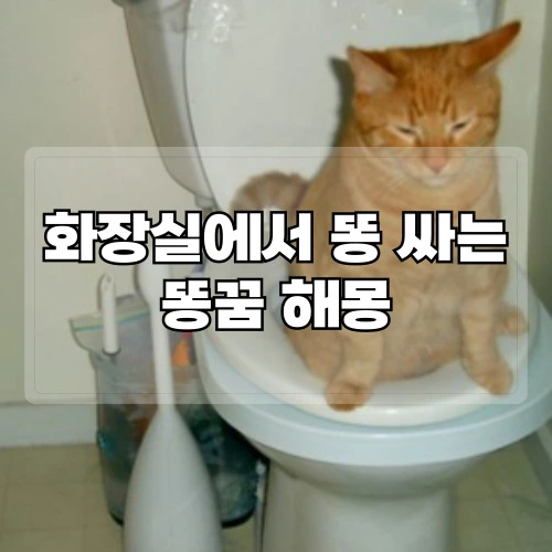 화장실에서-똥-싸는-꿈-똥꿈-해몽