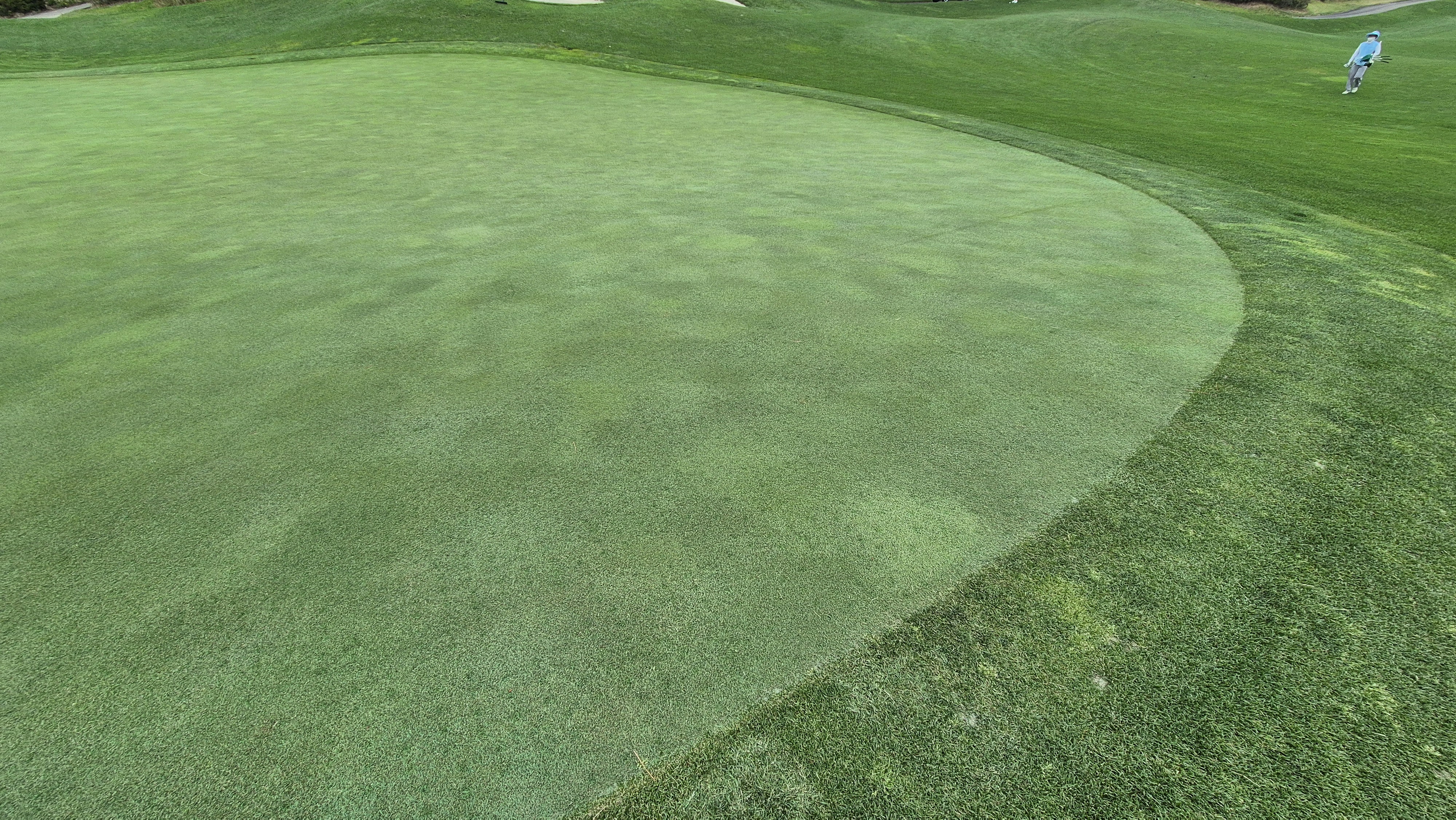 파인리즈cc 라운드 후기