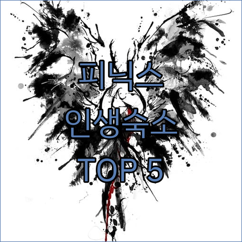 피닉스 숙소 추천 TOP 5 위치 장..