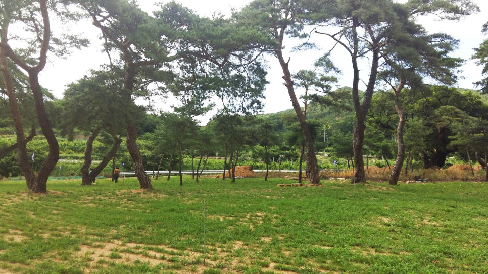 석산리파크골프장 (구 고로파크골프장)