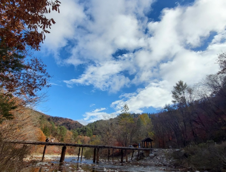 강원도-단풍명소