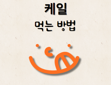 케일 먹는 방법