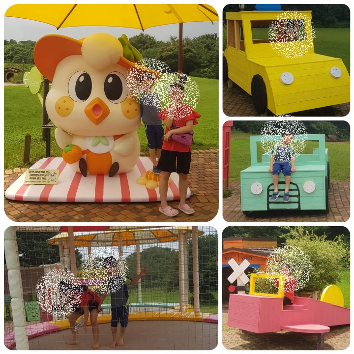 에코랜드 테마파크