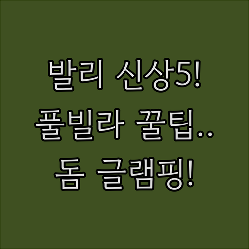 발리 킨타마니 돔 글램핑 우붓 프라이..
