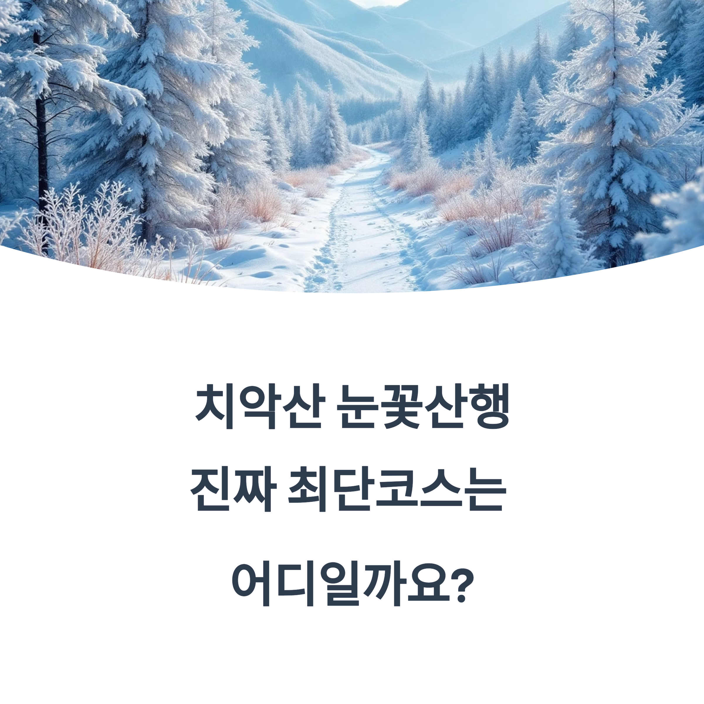 치악산 눈꽃산행 가는 법,