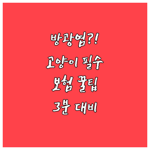 고양이 방광염, 현명한 집사의 보험 ..
