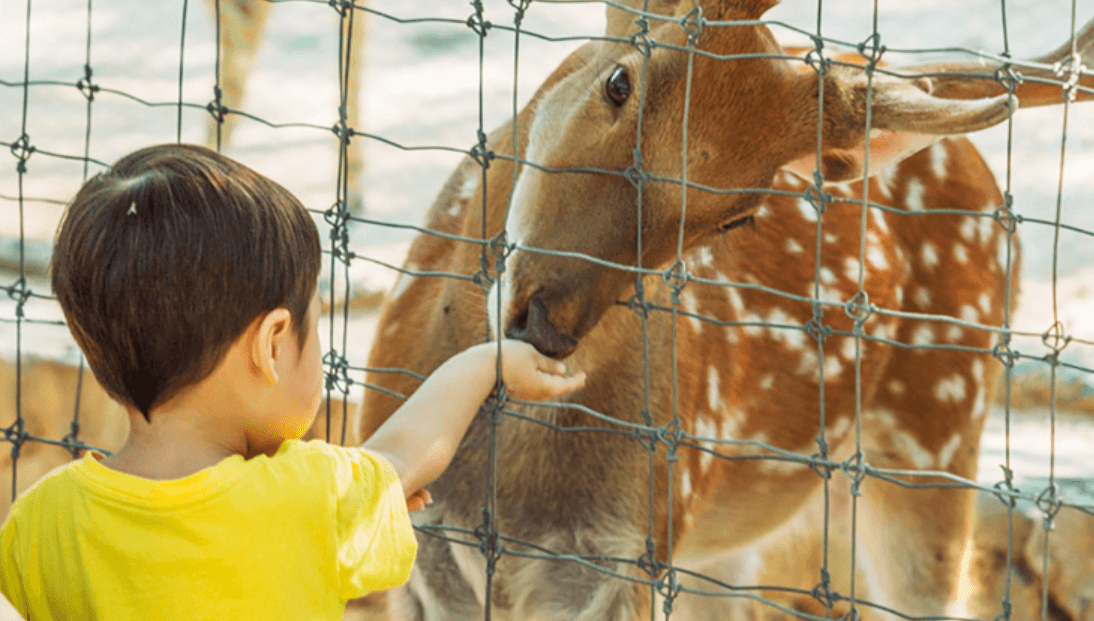 서울숲 공원 이미지