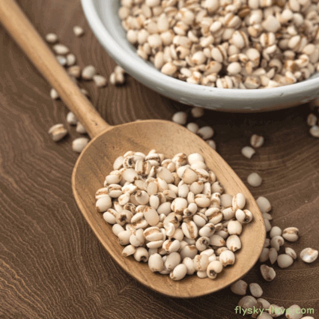 물만 마셔도 살이 찌는 체질에 도움이 되는 율무