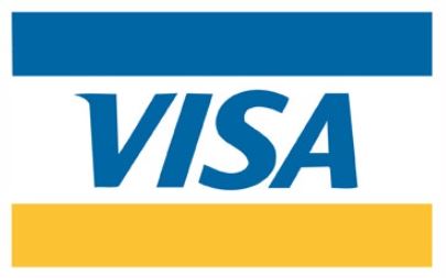 비자 로고 이미지