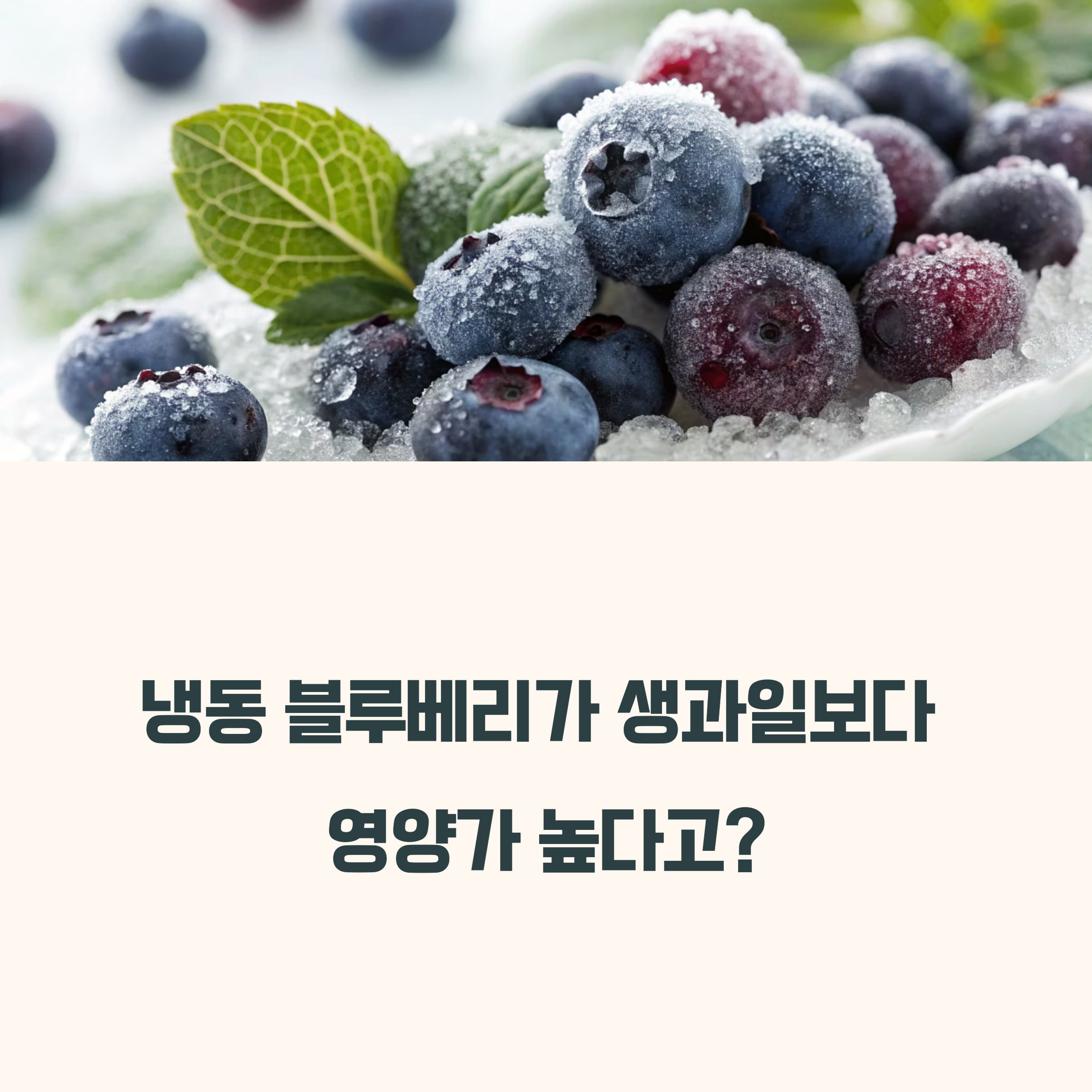 냉동 블루베리가 생과일보다 영양이 더 많다고요?