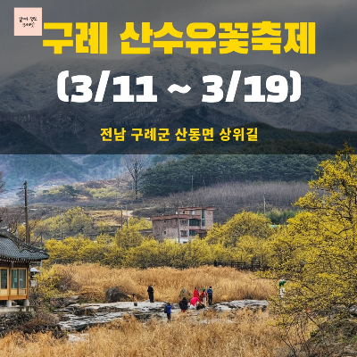 전국 봄 축제 가볼만한 곳 BEST 5