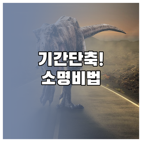 개인회생 기간 단축 보정권고 대응 및..