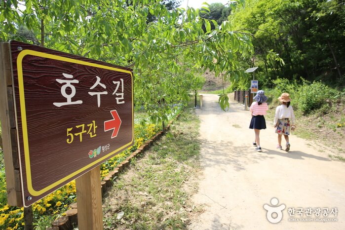 횡성호수길축제 2026