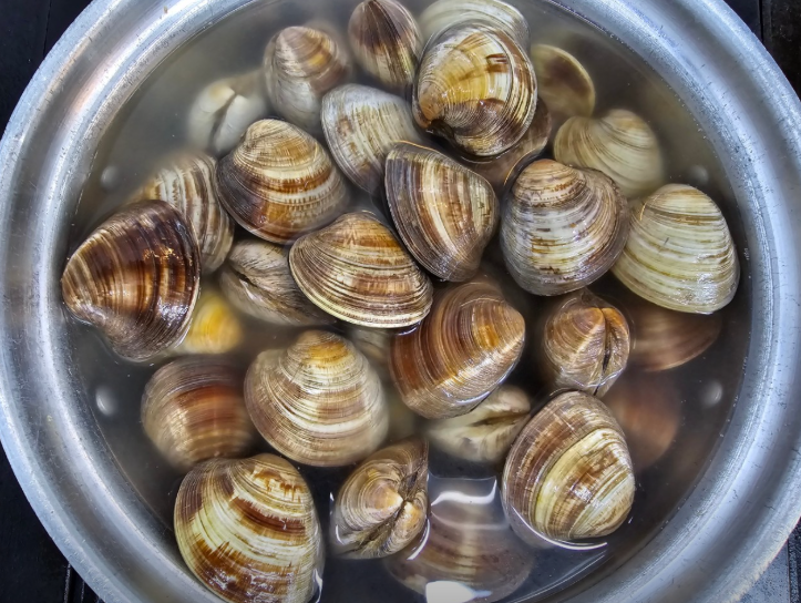 오늘n 해물칼국수 경북 경주 해물왕창