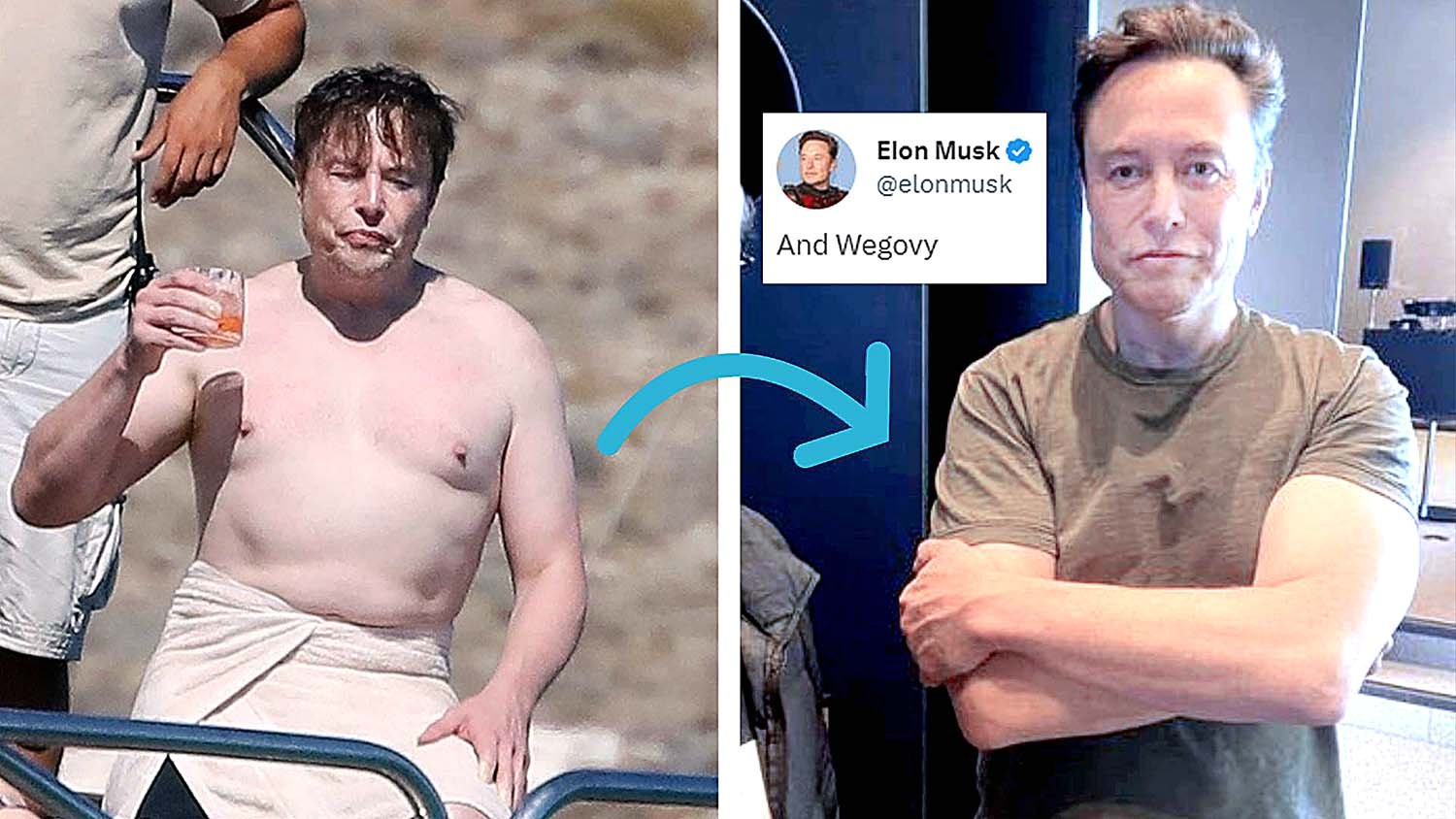 위고비 효과 일론머스크 전후 비교